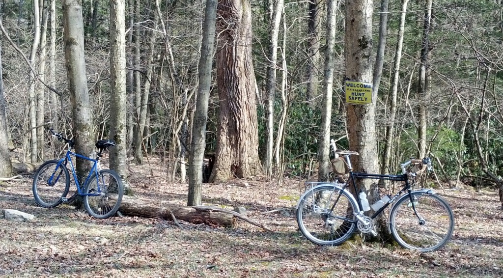 Both my Surlies in the woods at the same time!